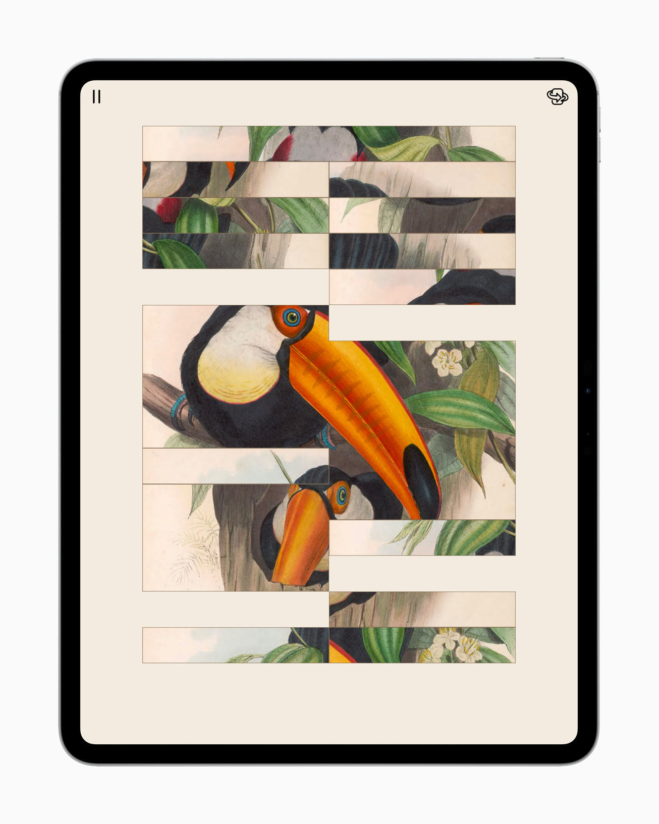 2025 Apple 设计获奖作品Art of Fauna