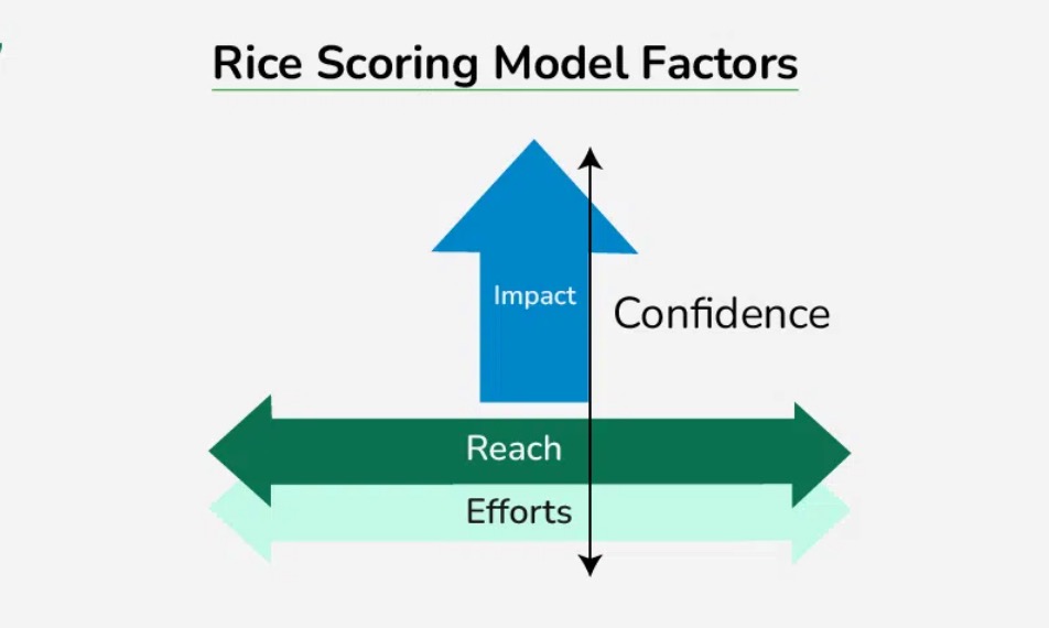 什么是RICE模型